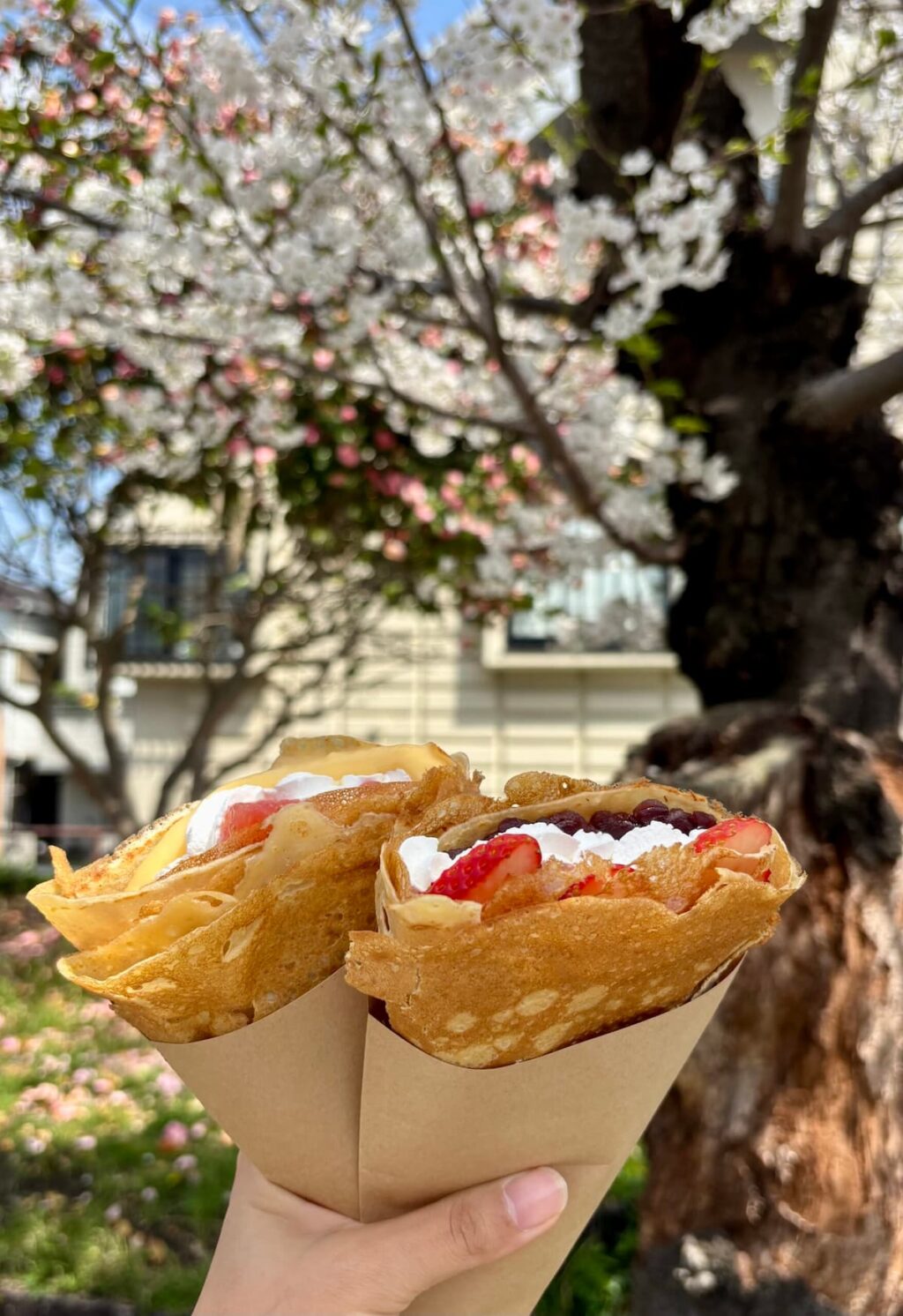 コマドクレープ