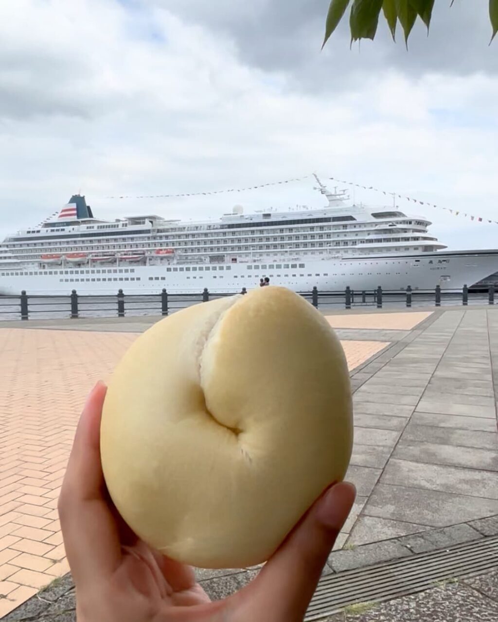 プレーンベーグル