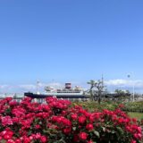 5月の山下公園