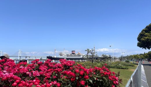 【横浜散歩】5月の休日さんぽ｜駅直結の「アメリカ山公園」から、バラ咲く山手・山下公園へ